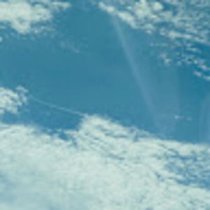 Meet your Posher, Calli